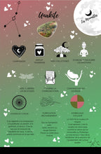 Charger l'image dans la galerie, Bracelet Pierres Semi-Précieuses pour elle-Obsidienne acajou & Unakite