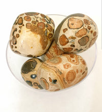 Charger l'image dans la galerie, Fiche Pierre -Jaspe Léopard