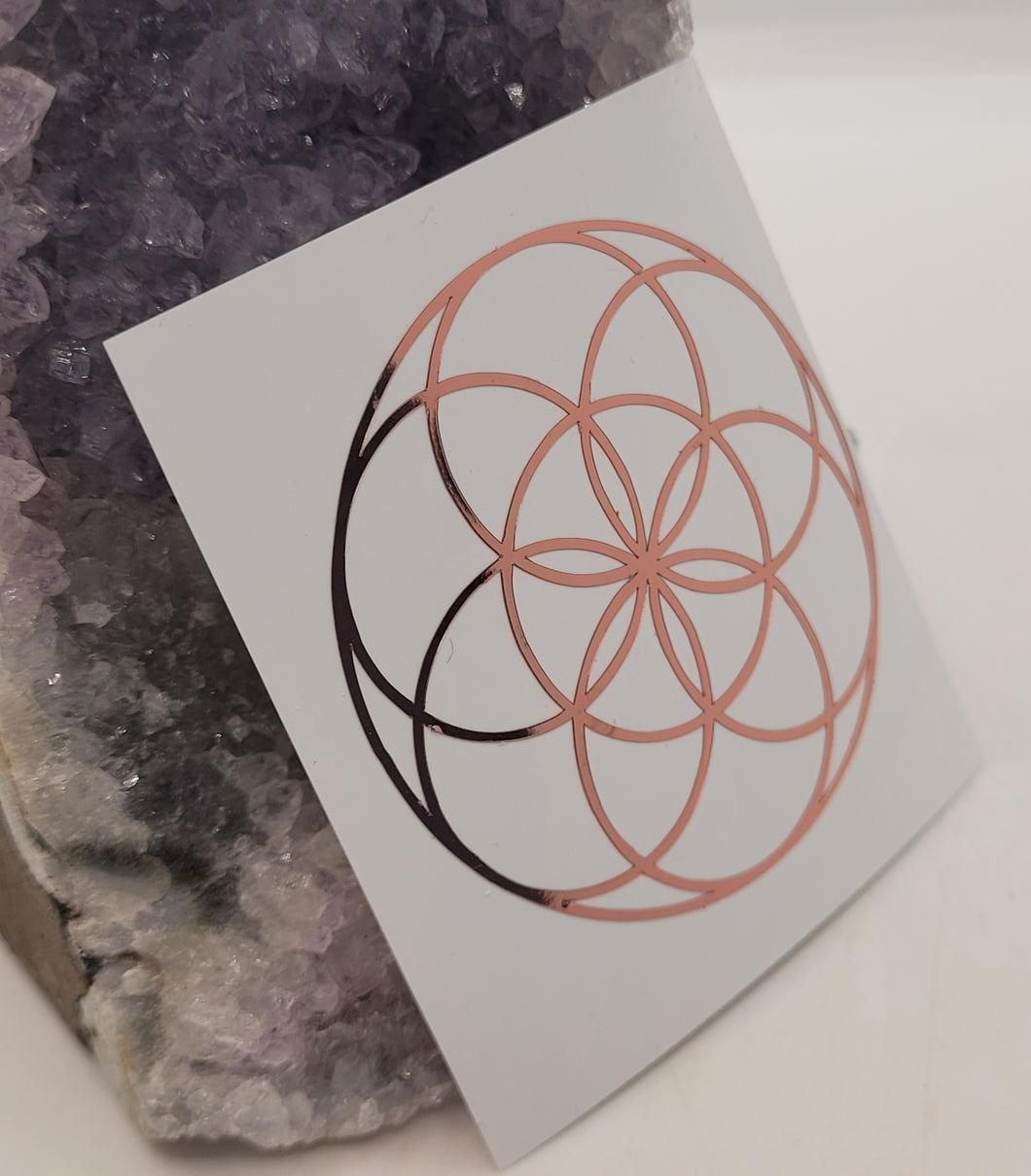 Boutique- Autocollant-Graine de vie 5 cm