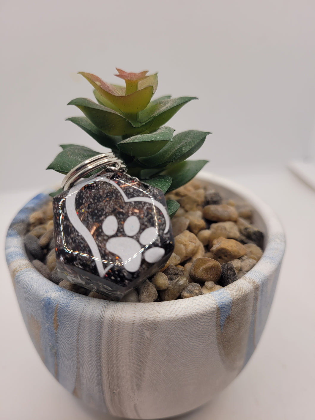 Médailles Orgonites pour animaux